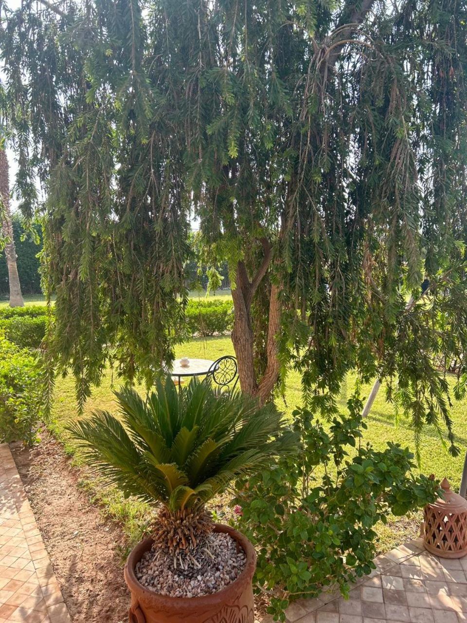Villa Diaf Johanne Ait Ourir Exterior photo